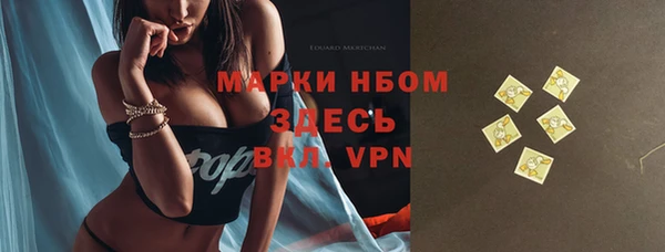 шишки Балабаново