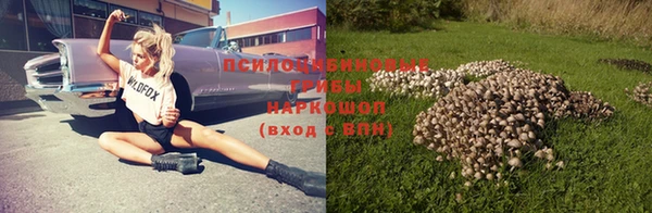 шишки Балабаново