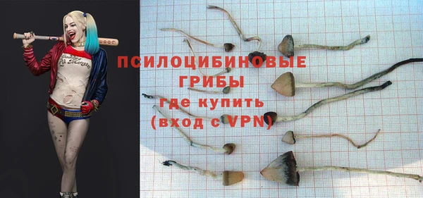 шишки Балабаново