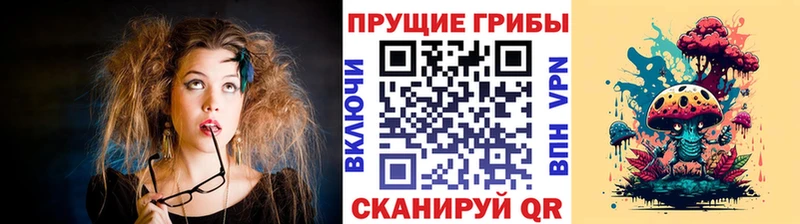 Купить где  Малмыж  Псилоцибиновые грибы мицелий 